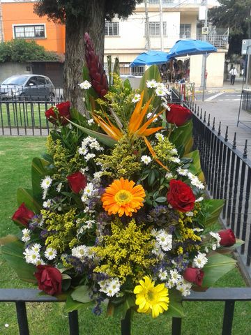 Rosa con gerbera de colores