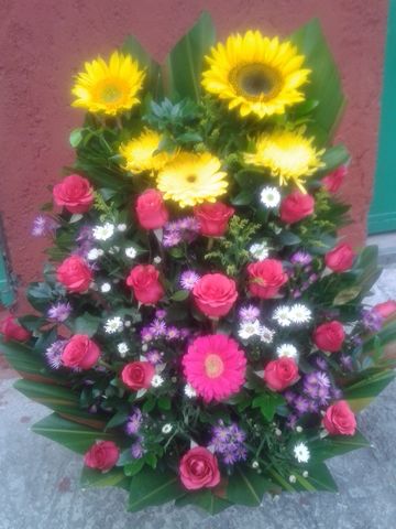 Rosas Rosas