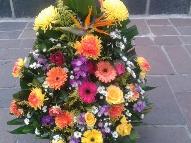 Gerbera